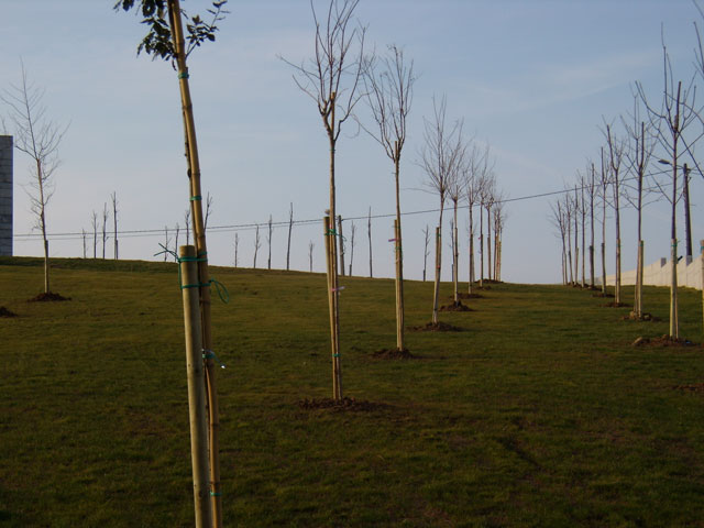 mantenimiento jardineria los valles